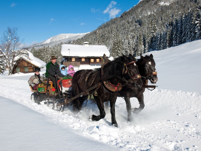 Pferdeschlitten fahren in Wagrain-Kleinarl © Wagrain-Kleinarl Tourismus